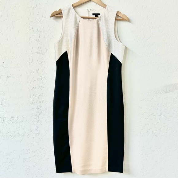 Ann Taylor Dresses & Skirts - Ann Taylor Pencil Dress, Size 4, Sleeveless, Peach, White, Black, Worn Once